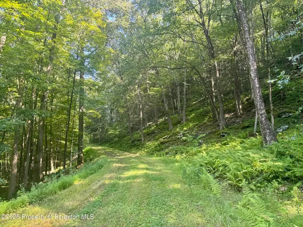 $1,100,000 | 4382 River Road, Equinunk, PA 18417