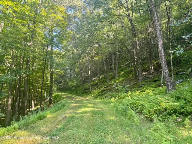 $1,100,000 | 4382 River Road, Equinunk, PA 18417