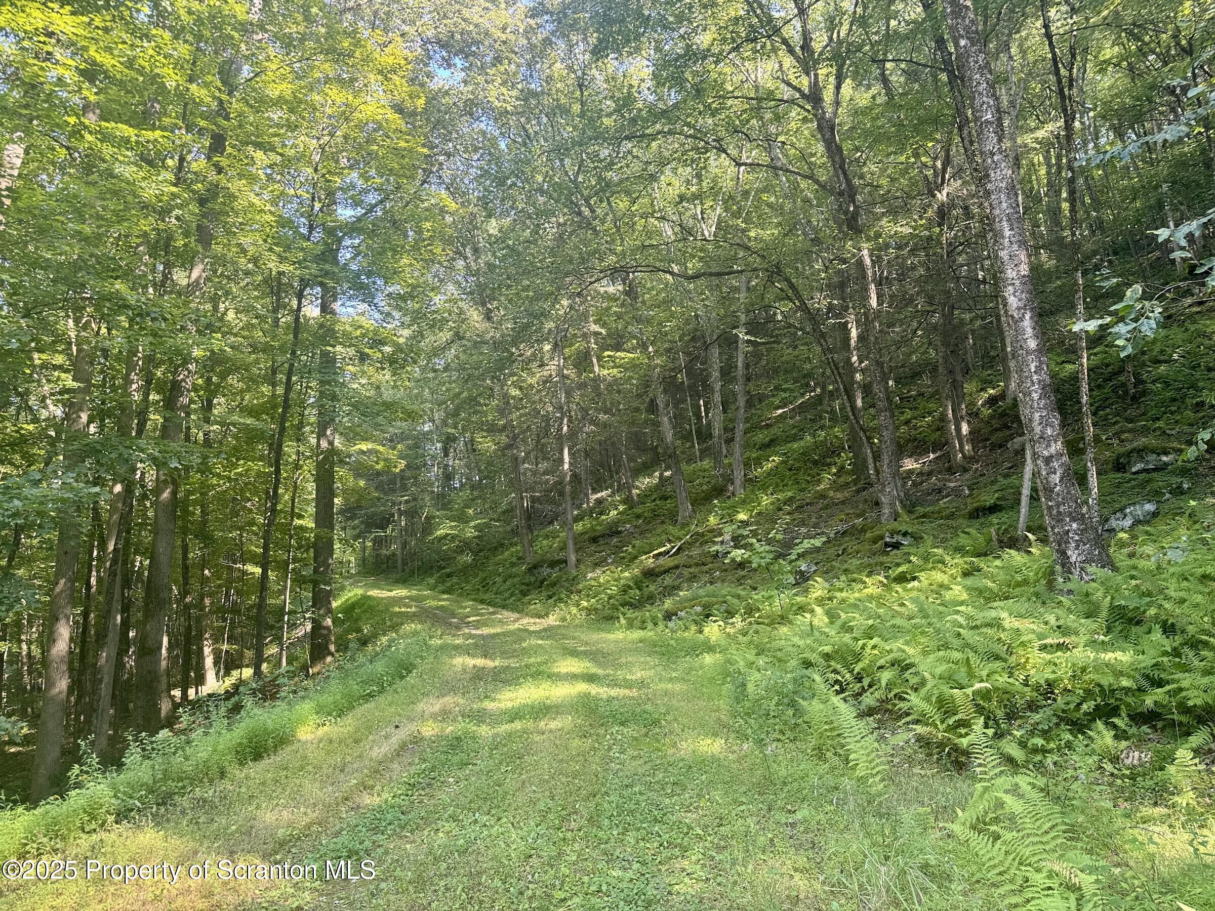 4382 River Road Equinunk, PA 18417 - Photo 7 of 42 private drive