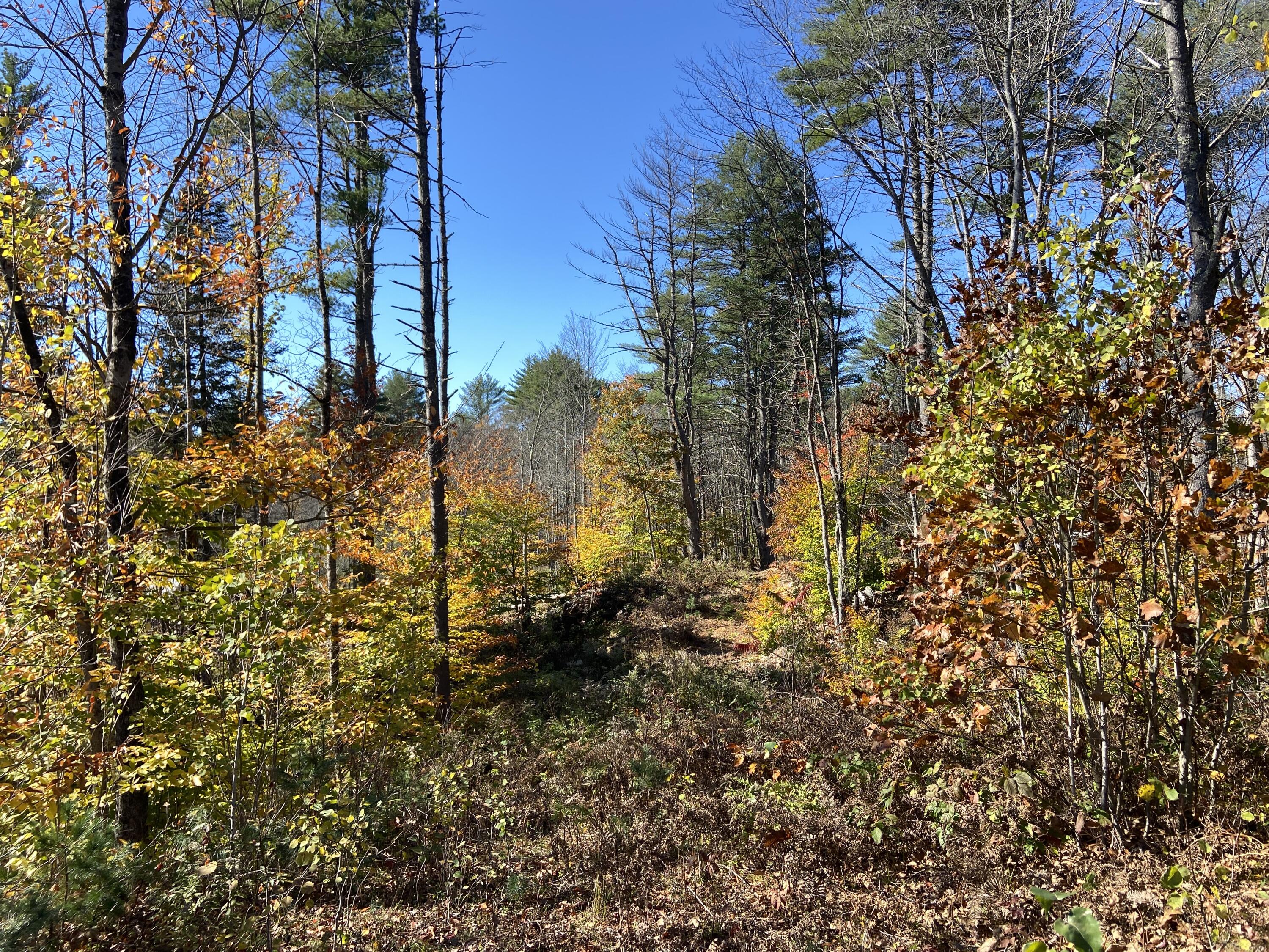 Lot 2 Staples Road West Newfield, ME 04095 - Photo 1 of 13 9E27760D-84FD-45CB-9865-D723CC37491D