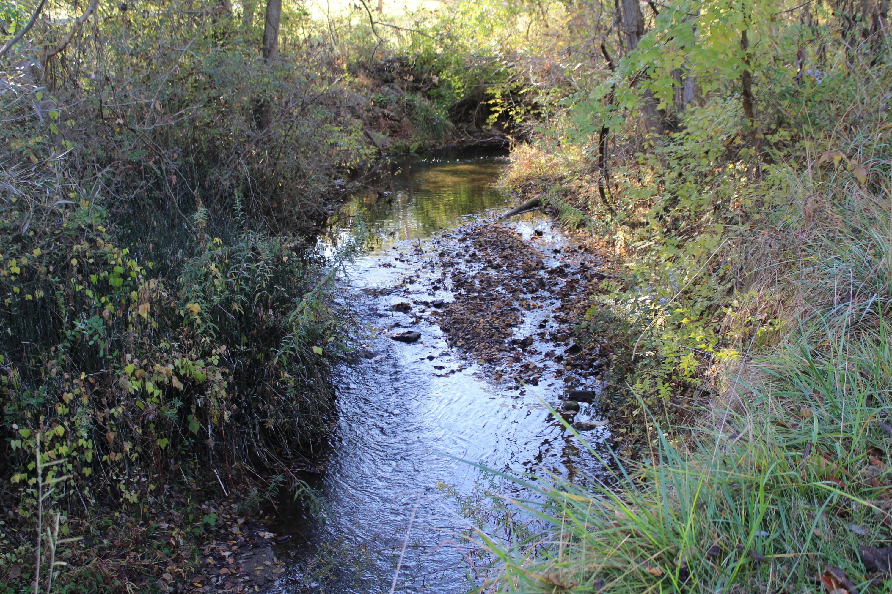 51 Hamburg Road Southwest Lancaster, OH 43130 - Photo 12 of 45 creek on backside of property