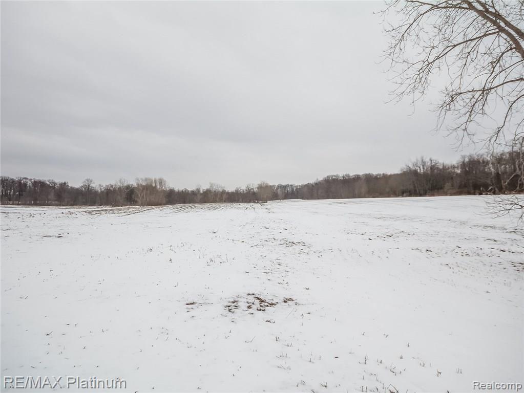 550 Dieterle Road Fowlerville, MI 48836 - Photo 57 of 66