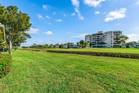 a view of a grassy field with an trees