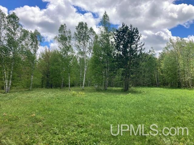 2 Boundary Road Chassell, MI 49916 - Photo 24 of 77
