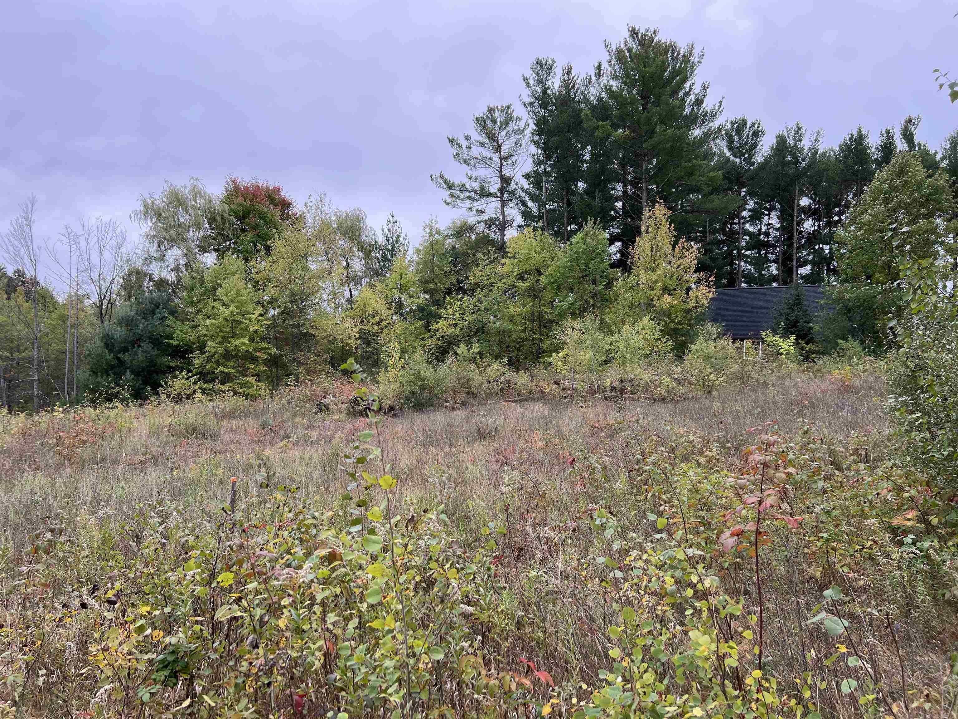 0 Bass Lake Road Traverse City, MI 49685 - Photo 5 of 11 1916755-4.JPG