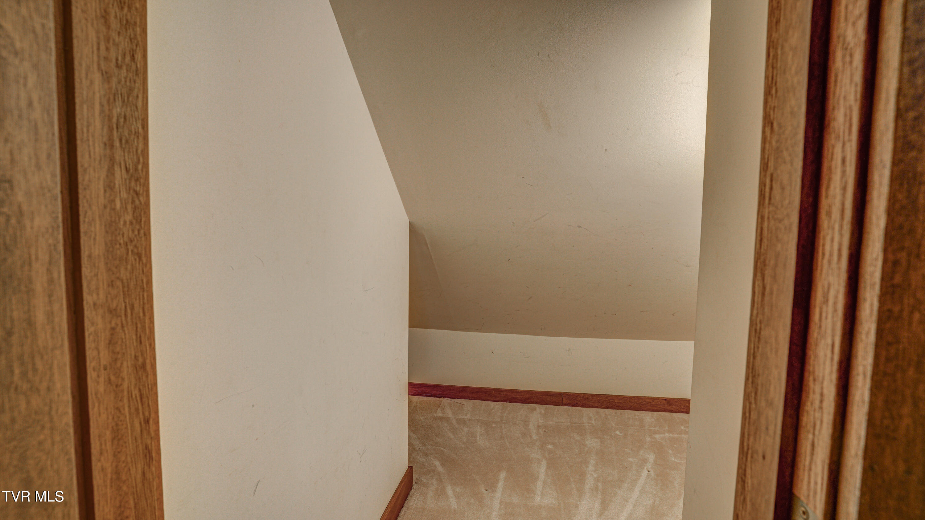 120 Columbine Road Kingsport, TN 37660 - Photo 41 of 87 _DSC1704_5_6_7_8