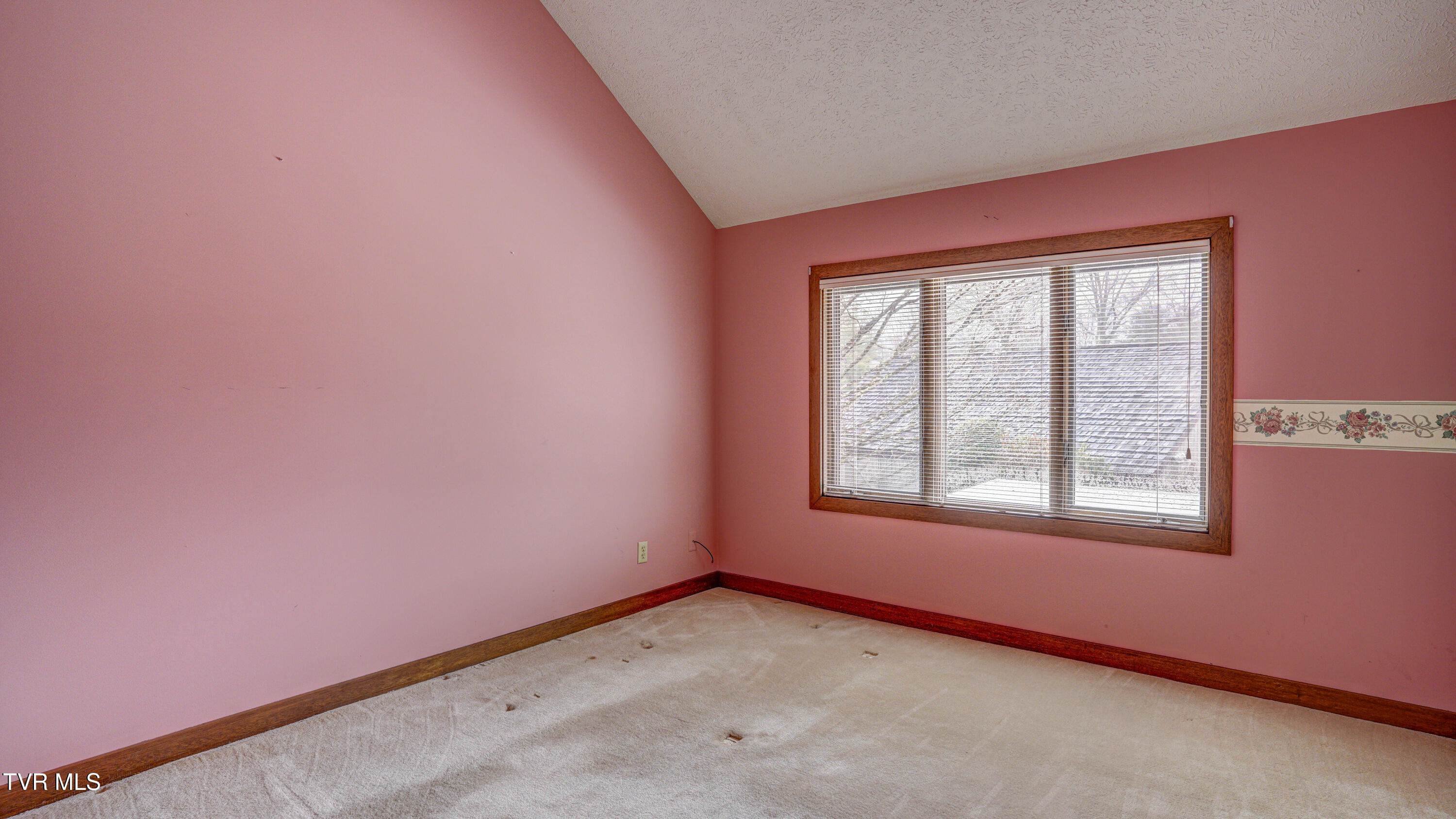 120 Columbine Road Kingsport, TN 37660 - Photo 43 of 87 _DSC1714_5_6_7_8