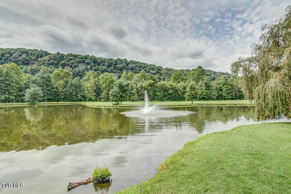 120 Columbine Road Kingsport, TN 37660 - Photo 58 of 87 CC pic