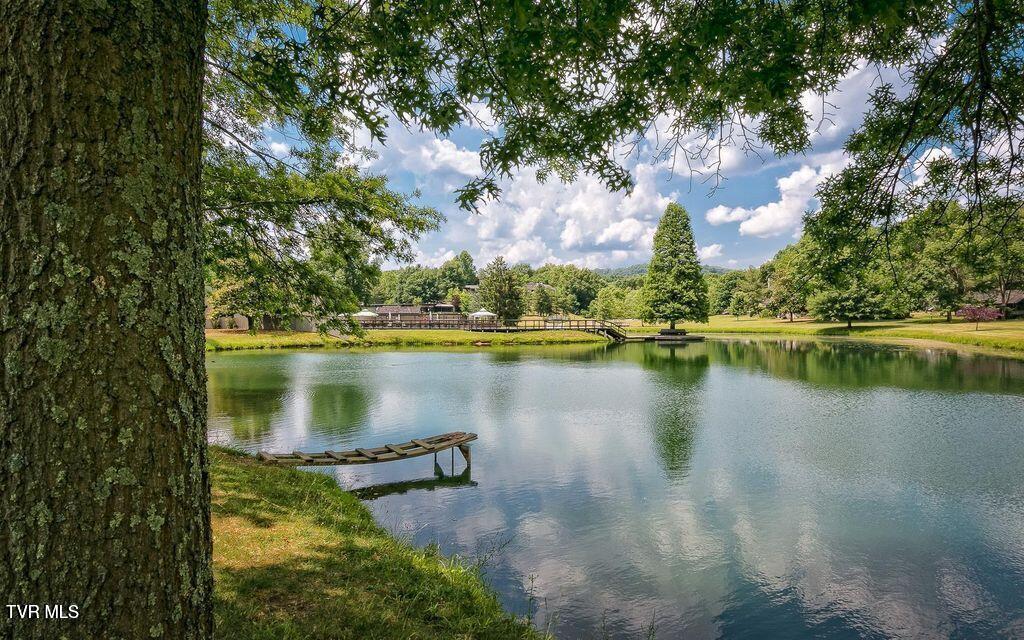 120 Columbine Road Kingsport, TN 37660 - Photo 64 of 87 pond 4