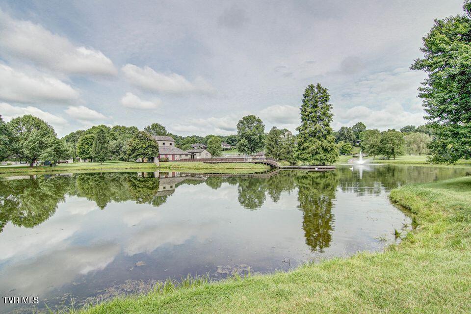 120 Columbine Road Kingsport, TN 37660 - Photo 65 of 87 pond 2