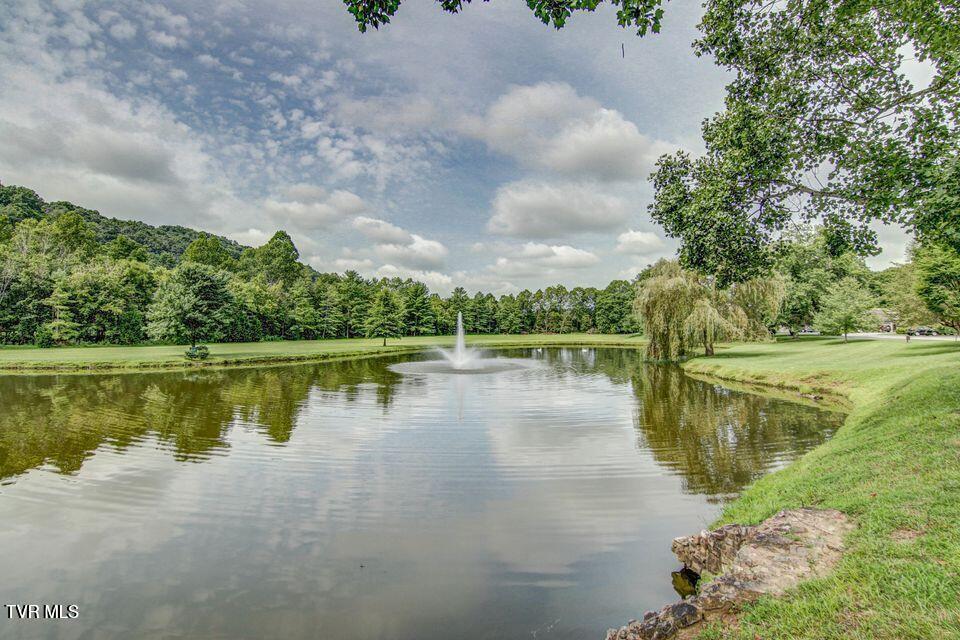 120 Columbine Road Kingsport, TN 37660 - Photo 66 of 87 pond