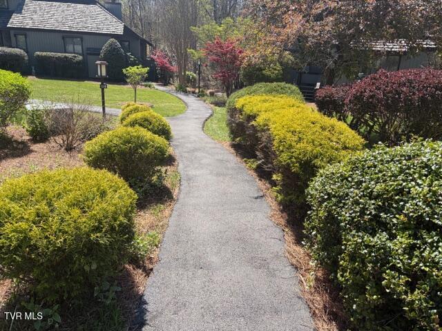 120 Columbine Road Kingsport, TN 37660 - Photo 81 of 87 IMG_2960