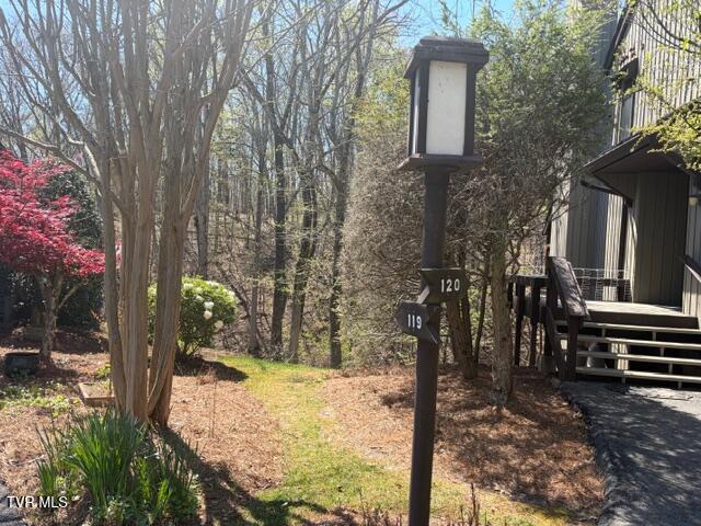 120 Columbine Road Kingsport, TN 37660 - Photo 82 of 87 IMG_2962