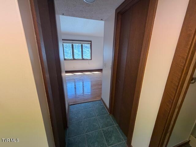 120 Columbine Road Kingsport, TN 37660 - Photo 86 of 87 IMG_2988