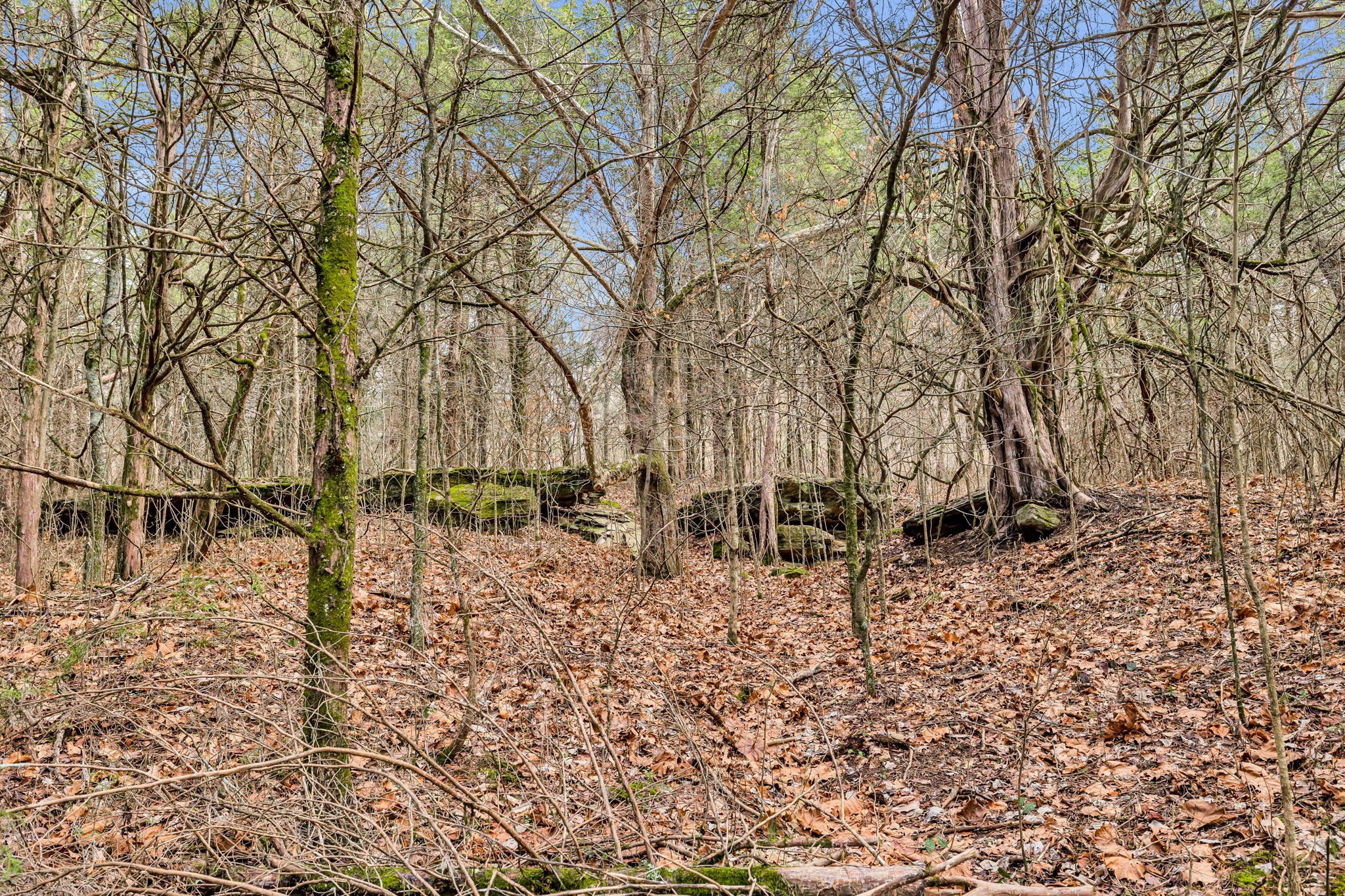 2296 Fowler Hollow Road Lynnville, TN 38472 - Photo 44 of 64 Gallery Image 44