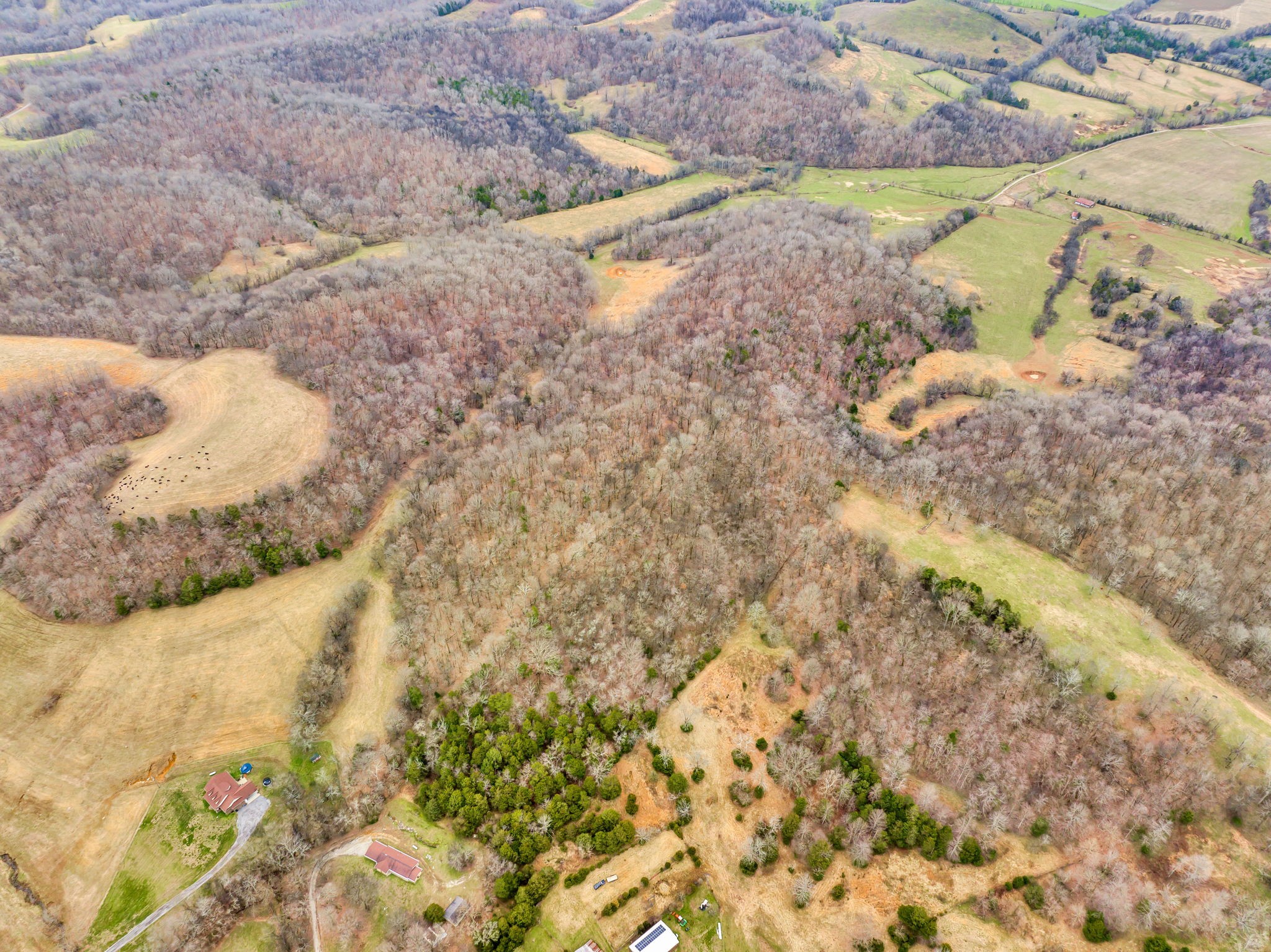 2296 Fowler Hollow Road Lynnville, TN 38472 - Photo 49 of 64 Gallery Image 49