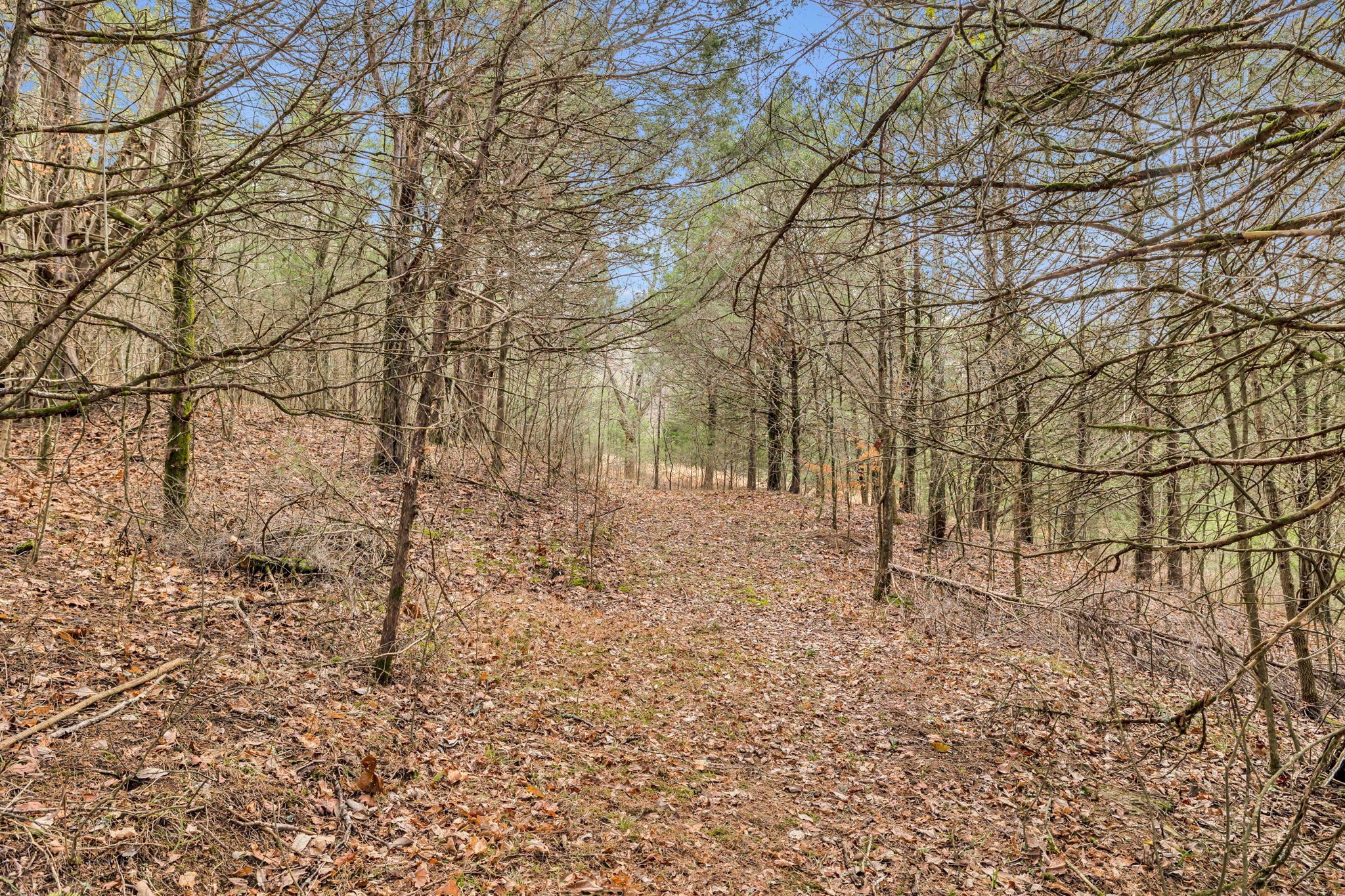 2296 Fowler Hollow Road Lynnville, TN 38472 - Photo 7 of 64 Gallery Image 7