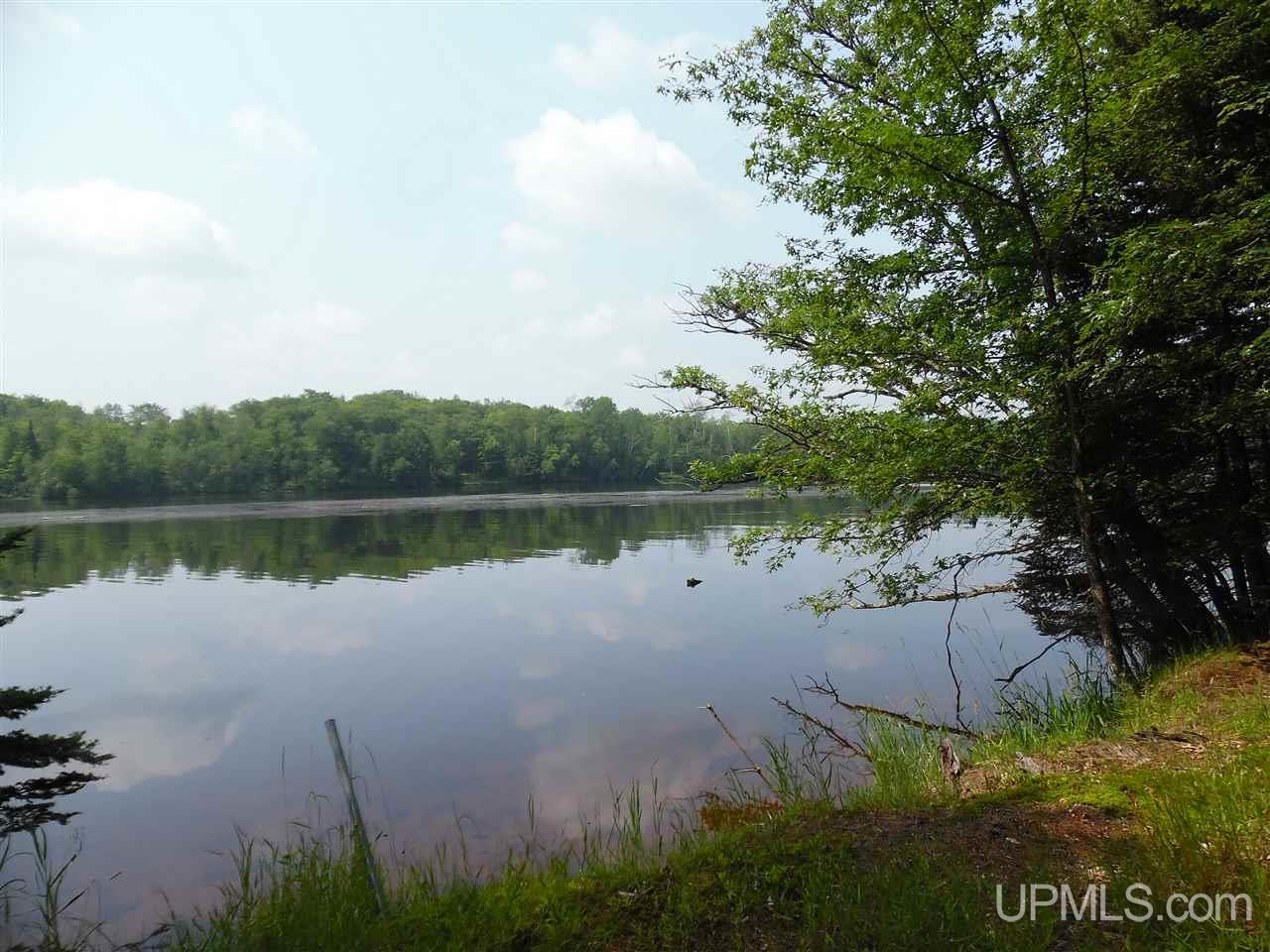 Tbd Menominee Trail, Unit LOT 2 Daggett, MI 49821 - Photo 2 of 4