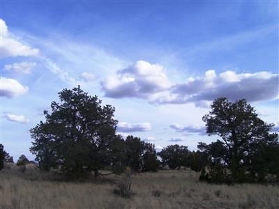 2494 East S Rim Ranch Road Williams, AZ 86046 - Photo 1 of 5 Primary Photo