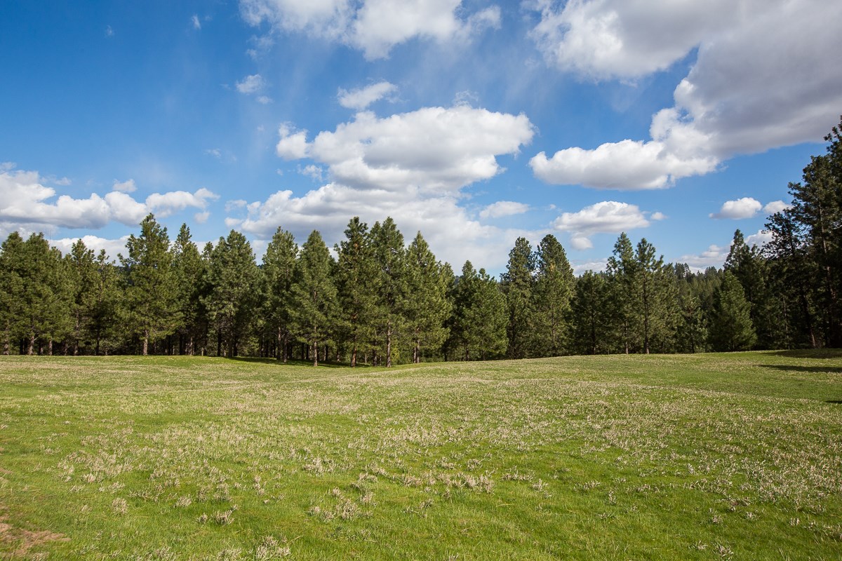 8104 South Regal Road Spokane, WA 99223 - Photo 44 of 48