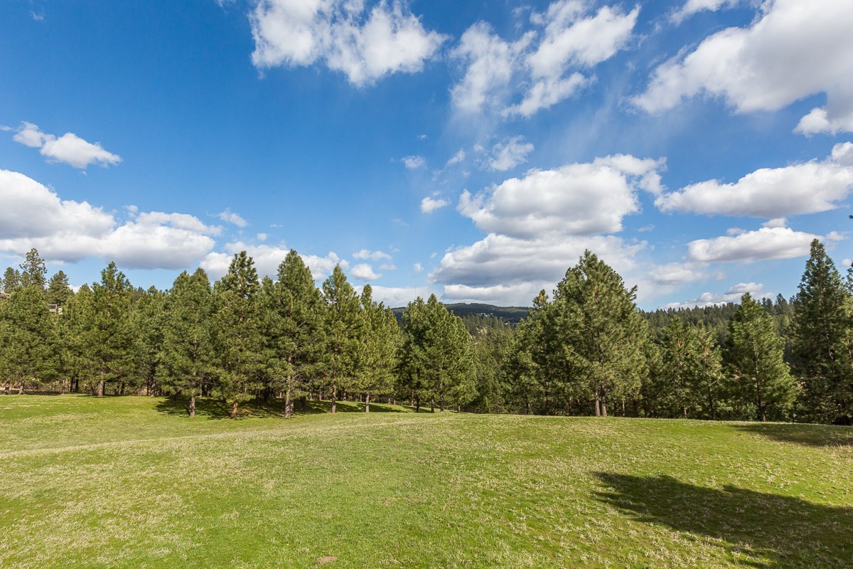 8104 South Regal Road Spokane, WA 99223 - Photo 46 of 48