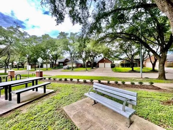 a view of a park with large trees