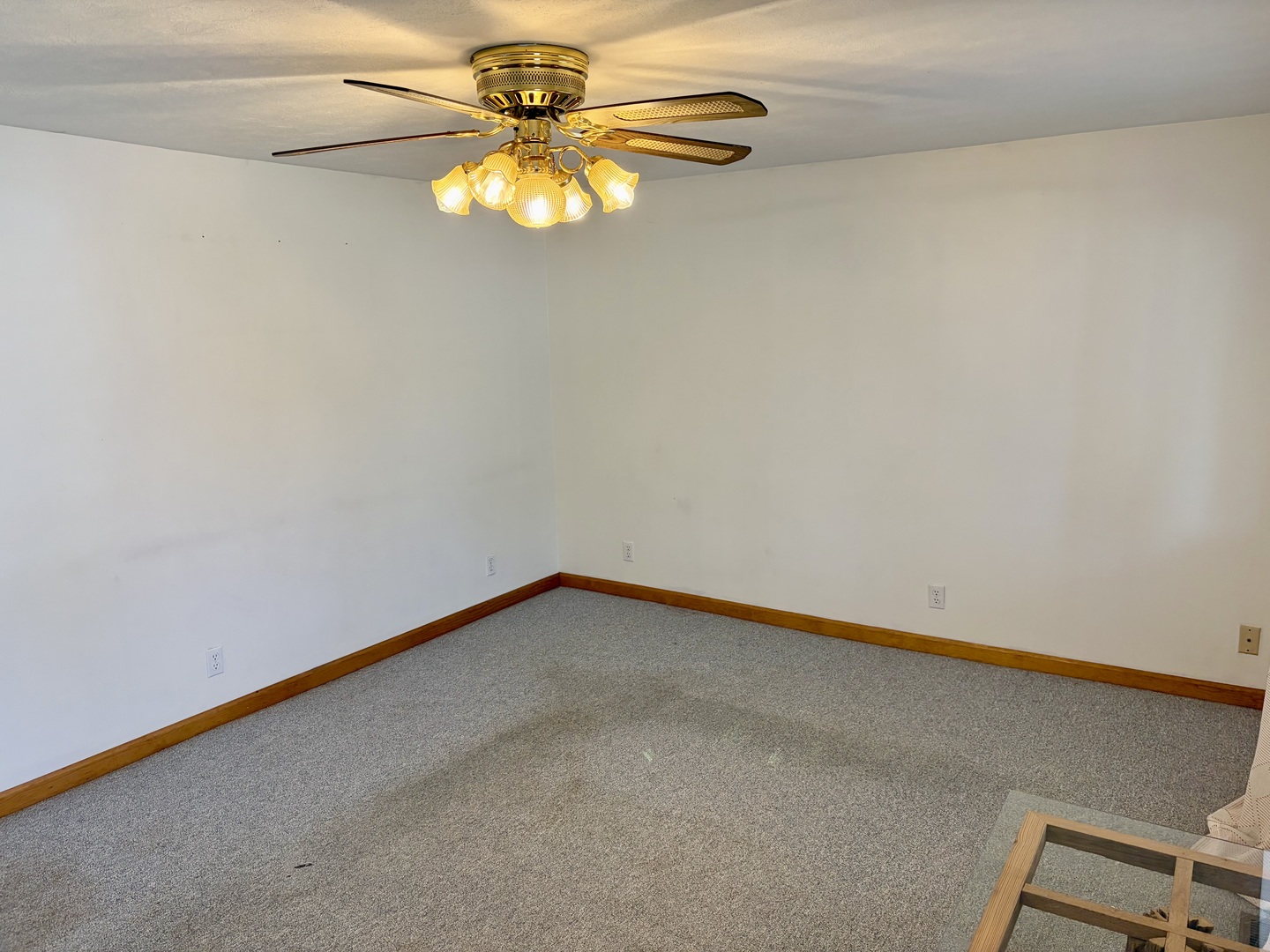 221 North George Street Clinton, IL 61727 - Photo 4 of 32