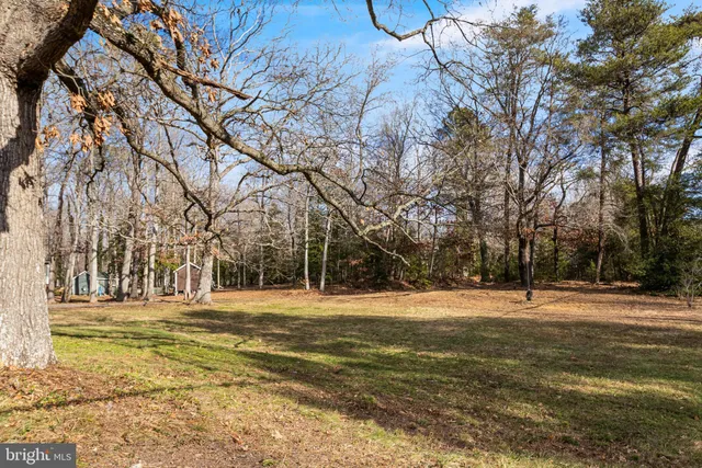 a big yard with trees in the background