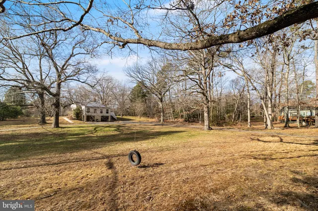 a view of yard with tree