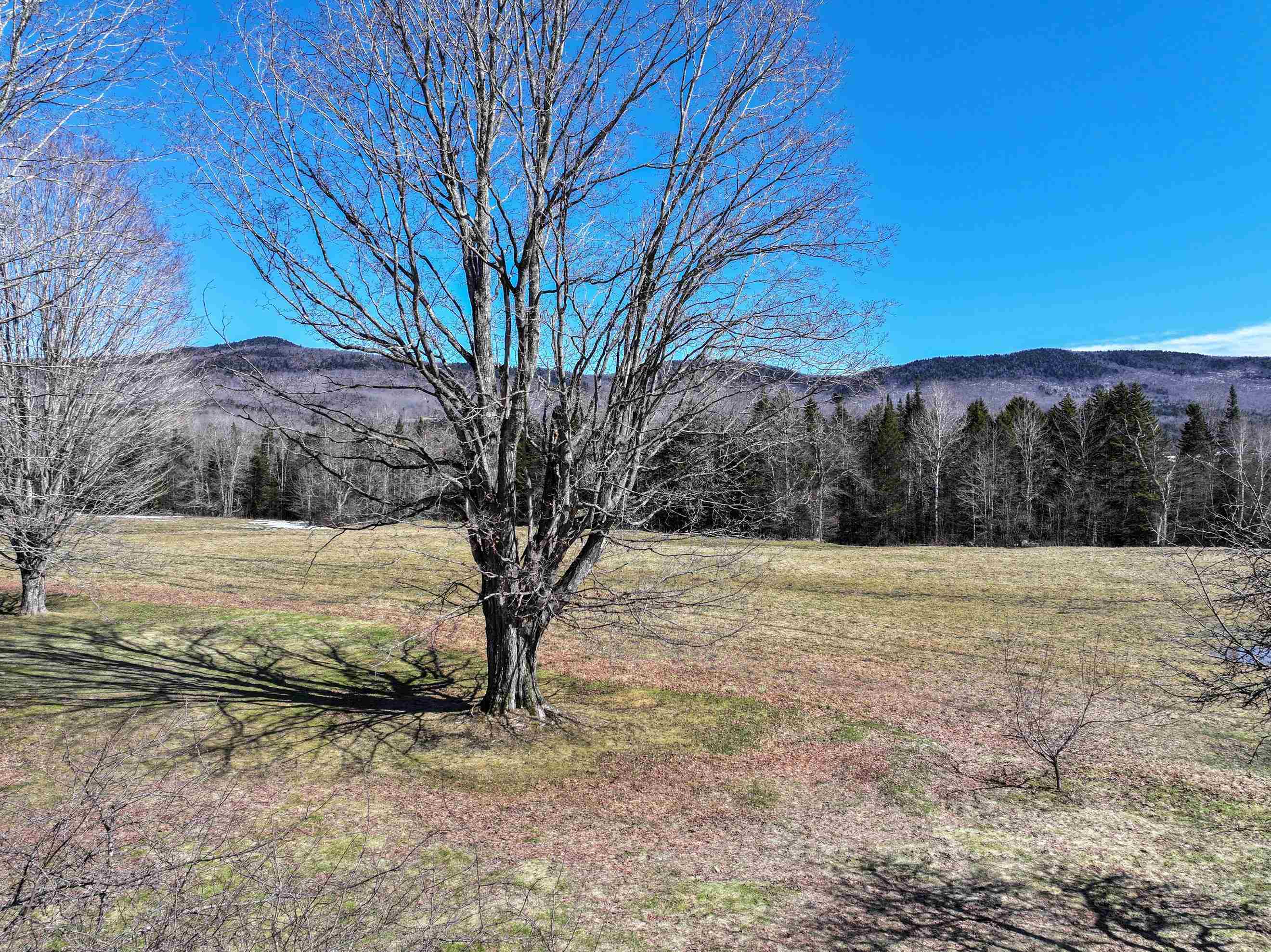 209 Saw Mill Hill Rochester, VT 05767 - Photo 8 of 54