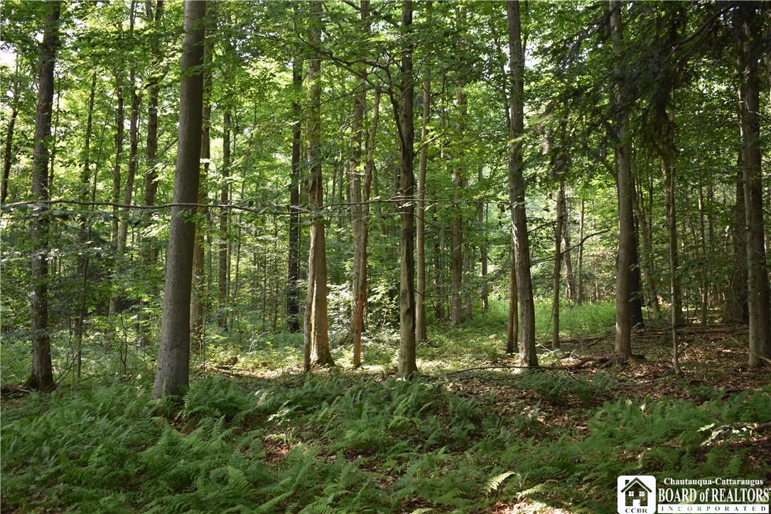 Foe Road South Dayton, NY 14138 - Photo 1 of 1 Gallery Image 1