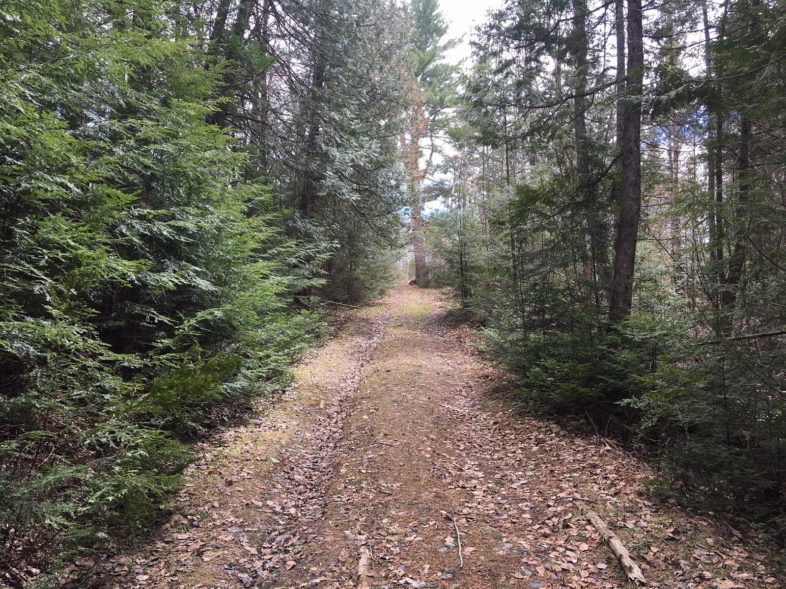 401 Map Road Dexter, ME 04930 - Photo 18 of 18 18
