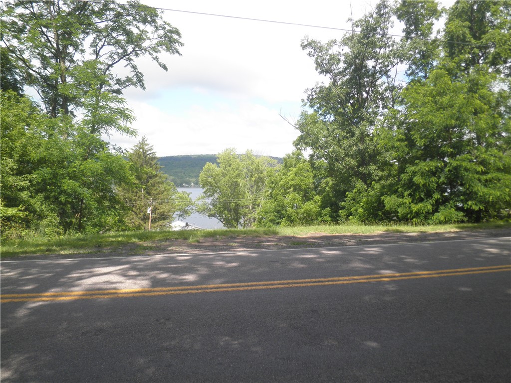 0 East Lake Road Honeoye, NY 14471 - Photo 2 of 11