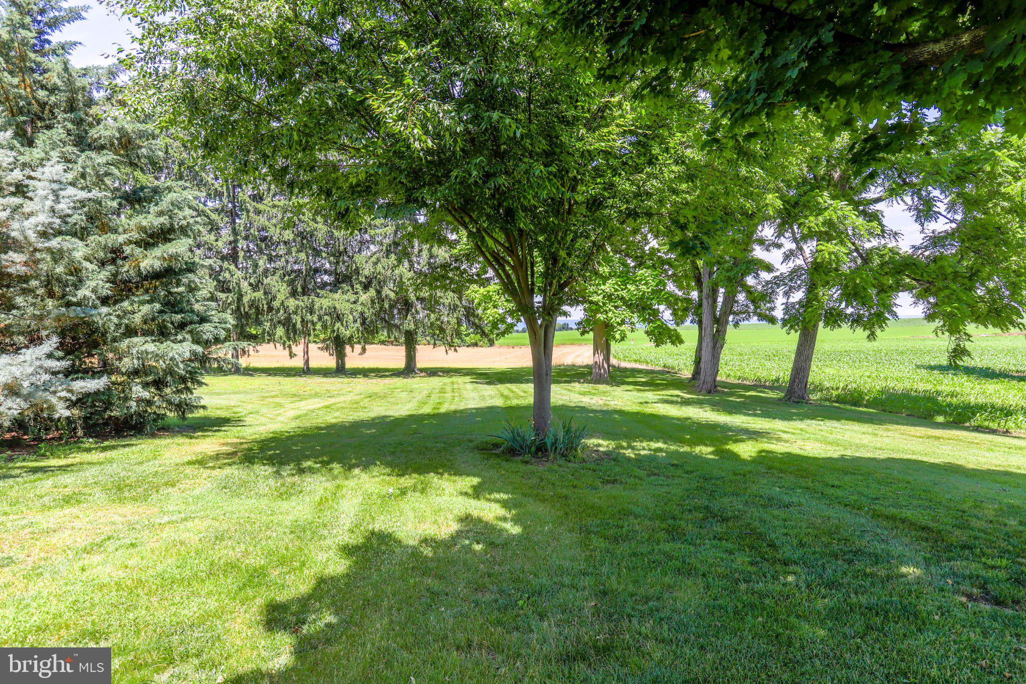 2497 Grand Point Road Chambersburg, PA 17202 - Photo 49 of 53 Gallery Image 49