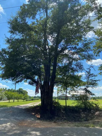 $192,000 | 16-ac 16-ac National Road, Dothan, AL 36301