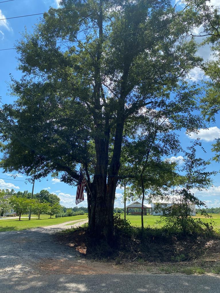 16-ac 16-ac National Road Dothan, AL 36301 - Photo 1 of 45