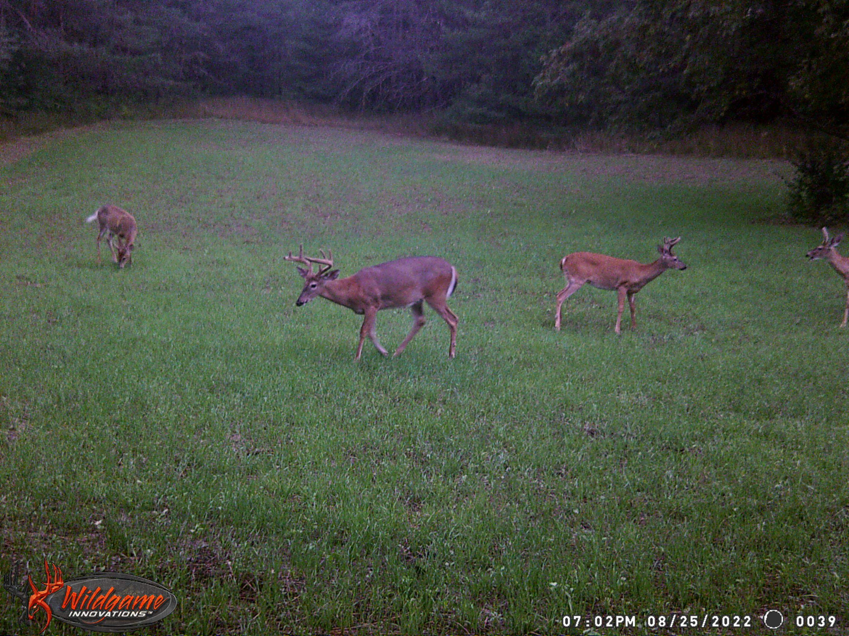 18 East 1/2 Road Manton, MI 49663 - Photo 16 of 16