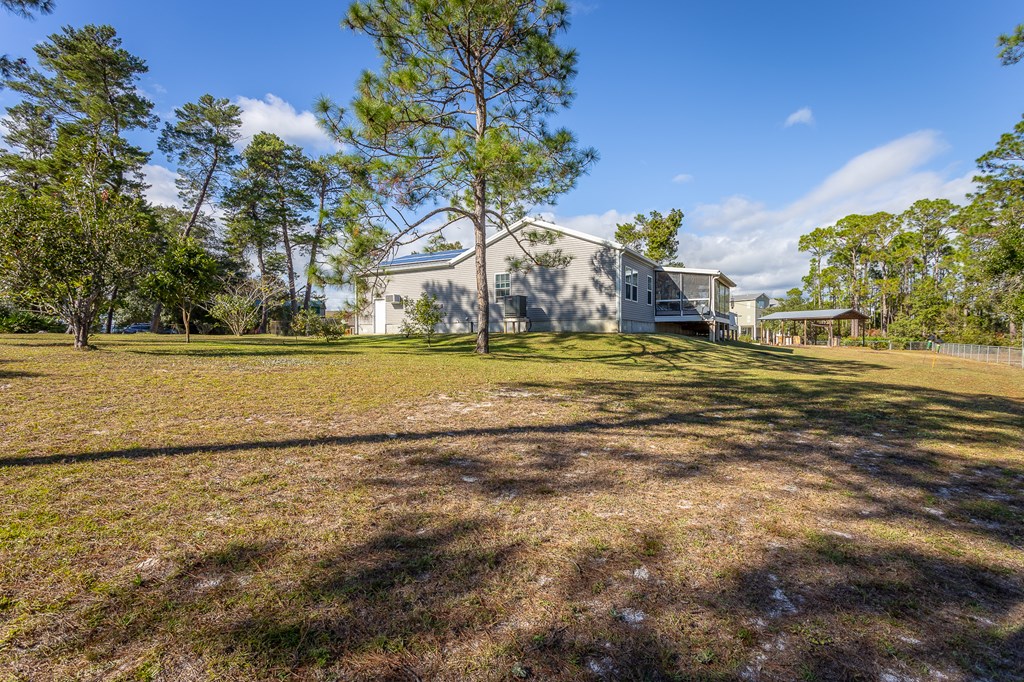 559 River Road Carrabelle, FL 32322 - Photo 8 of 60 Gallery Image 8