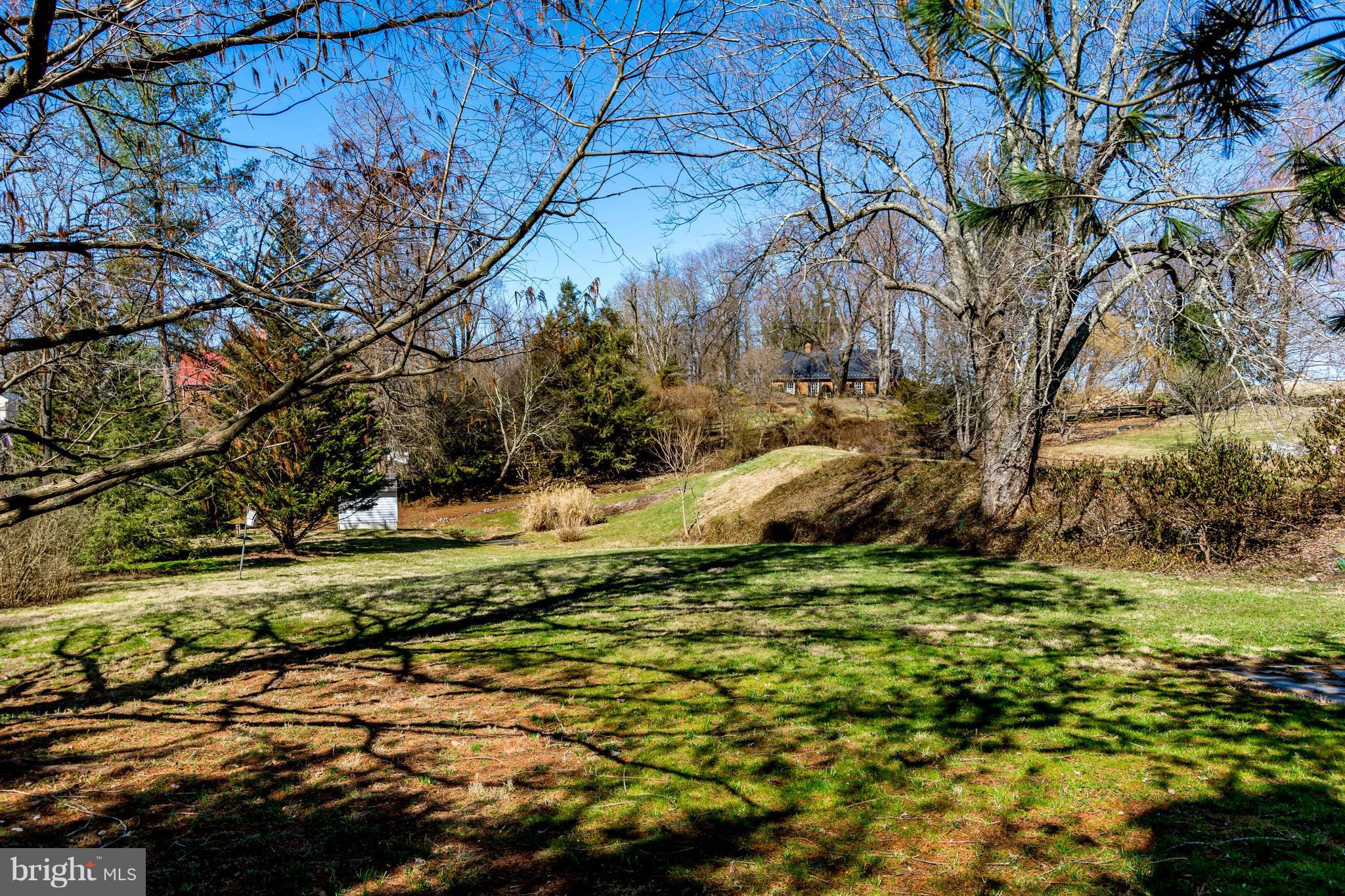 2806 Crenshaw Road Marshall, VA 20115 - Photo 27 of 30 a backyard of a house with a yard and large tree