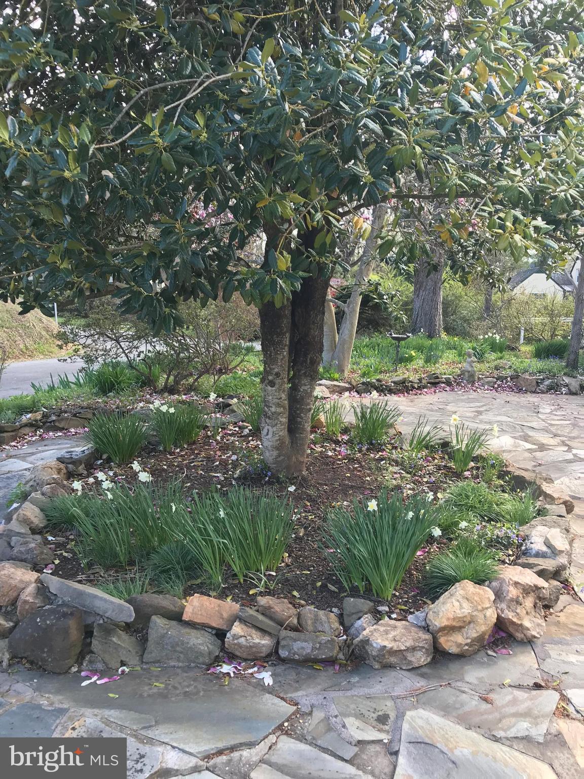2806 Crenshaw Road Marshall, VA 20115 - Photo 28 of 30 a backyard of a house with lots of green space