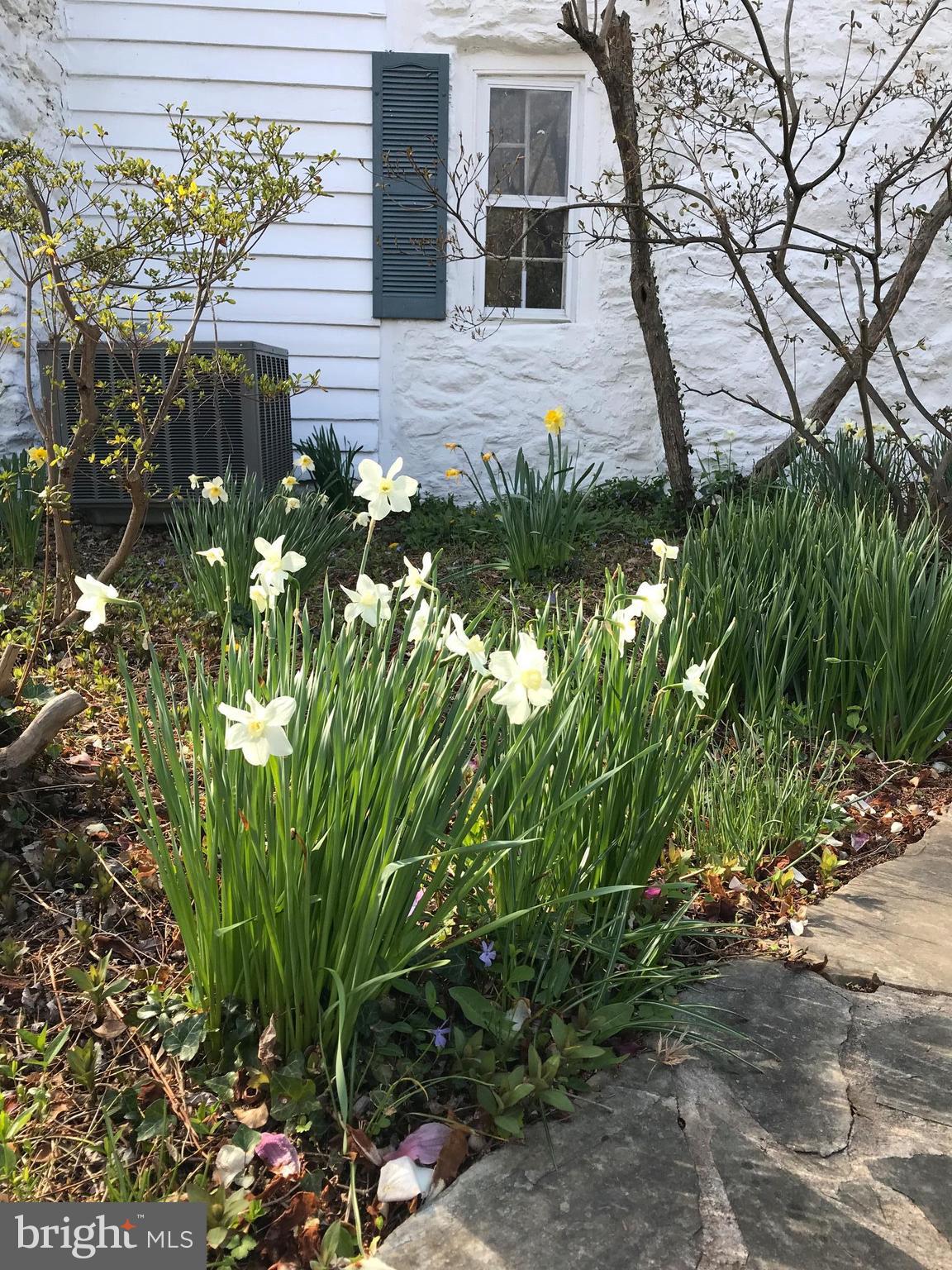 2806 Crenshaw Road Marshall, VA 20115 - Photo 30 of 30 a backyard of a house with lots of green space