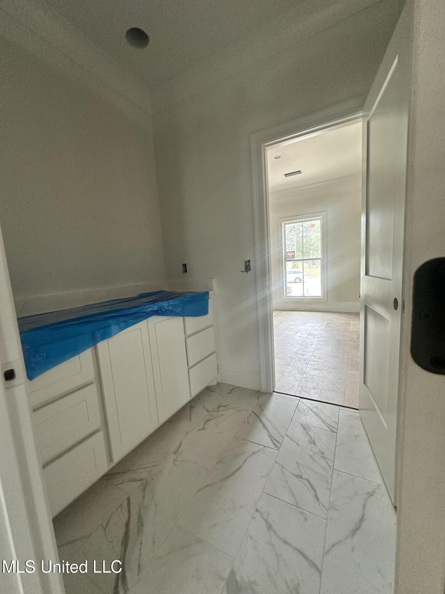 746 Bearing Way Brandon, MS 39047 - Photo 20 of 38 IMG_4119