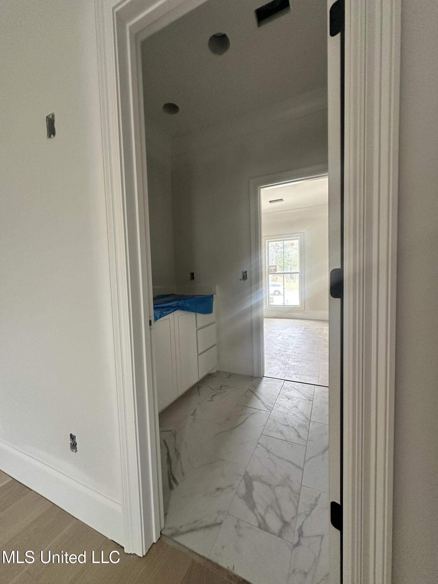 746 Bearing Way Brandon, MS 39047 - Photo 21 of 38 IMG_4120