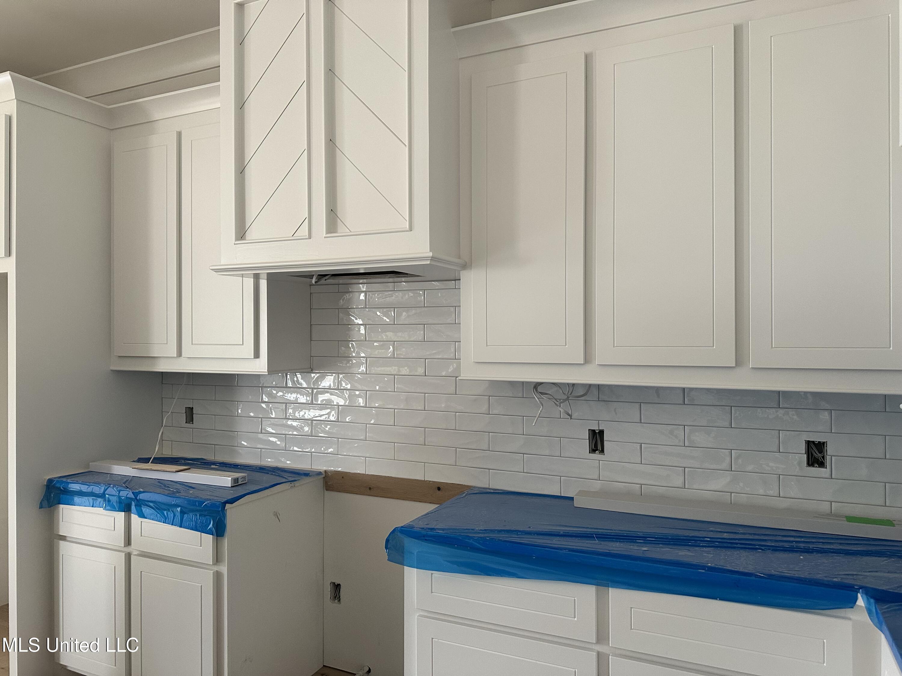 746 Bearing Way Brandon, MS 39047 - Photo 23 of 38 IMG_4122