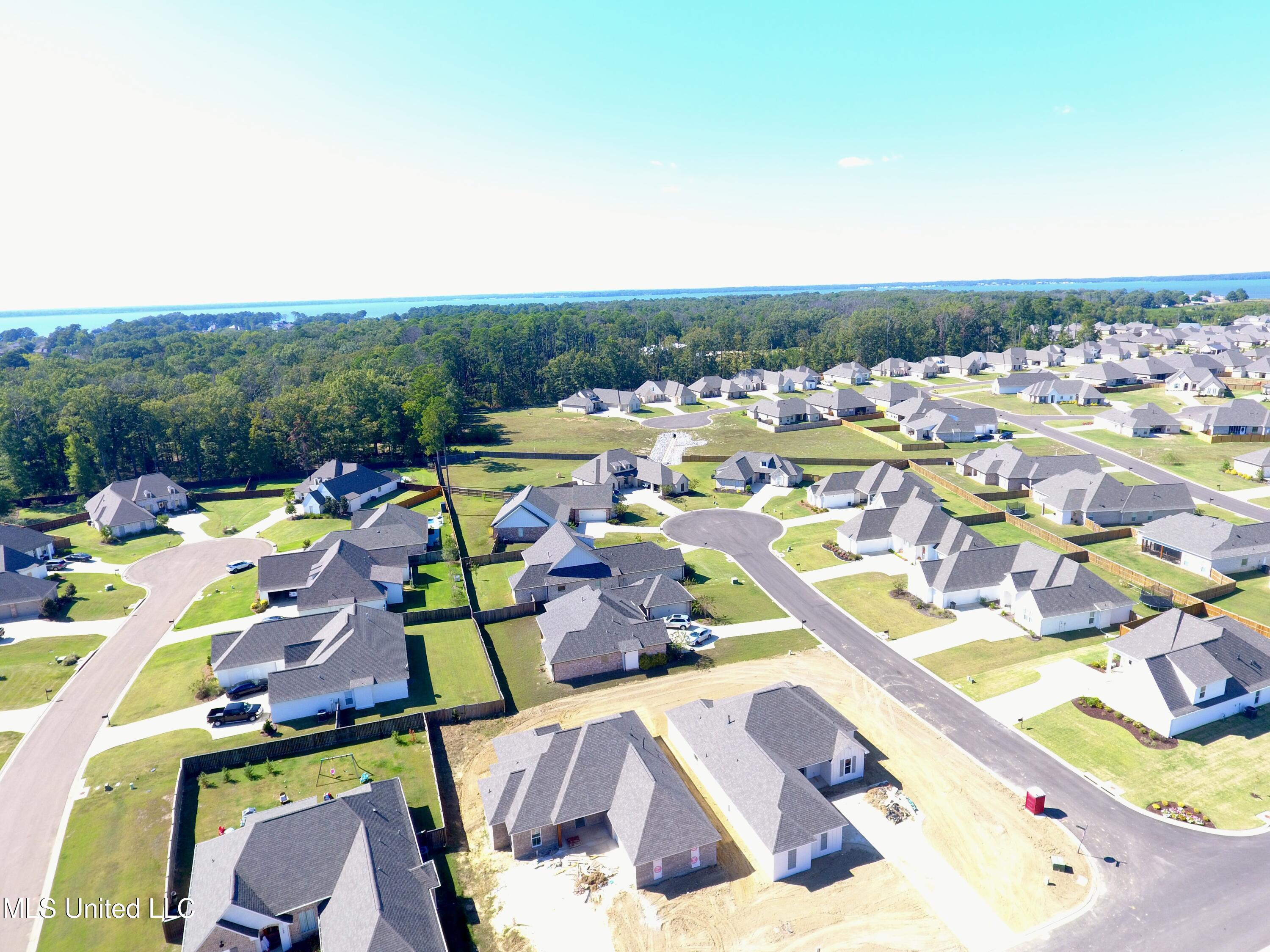 746 Bearing Way Brandon, MS 39047 - Photo 24 of 38 DJI_0154