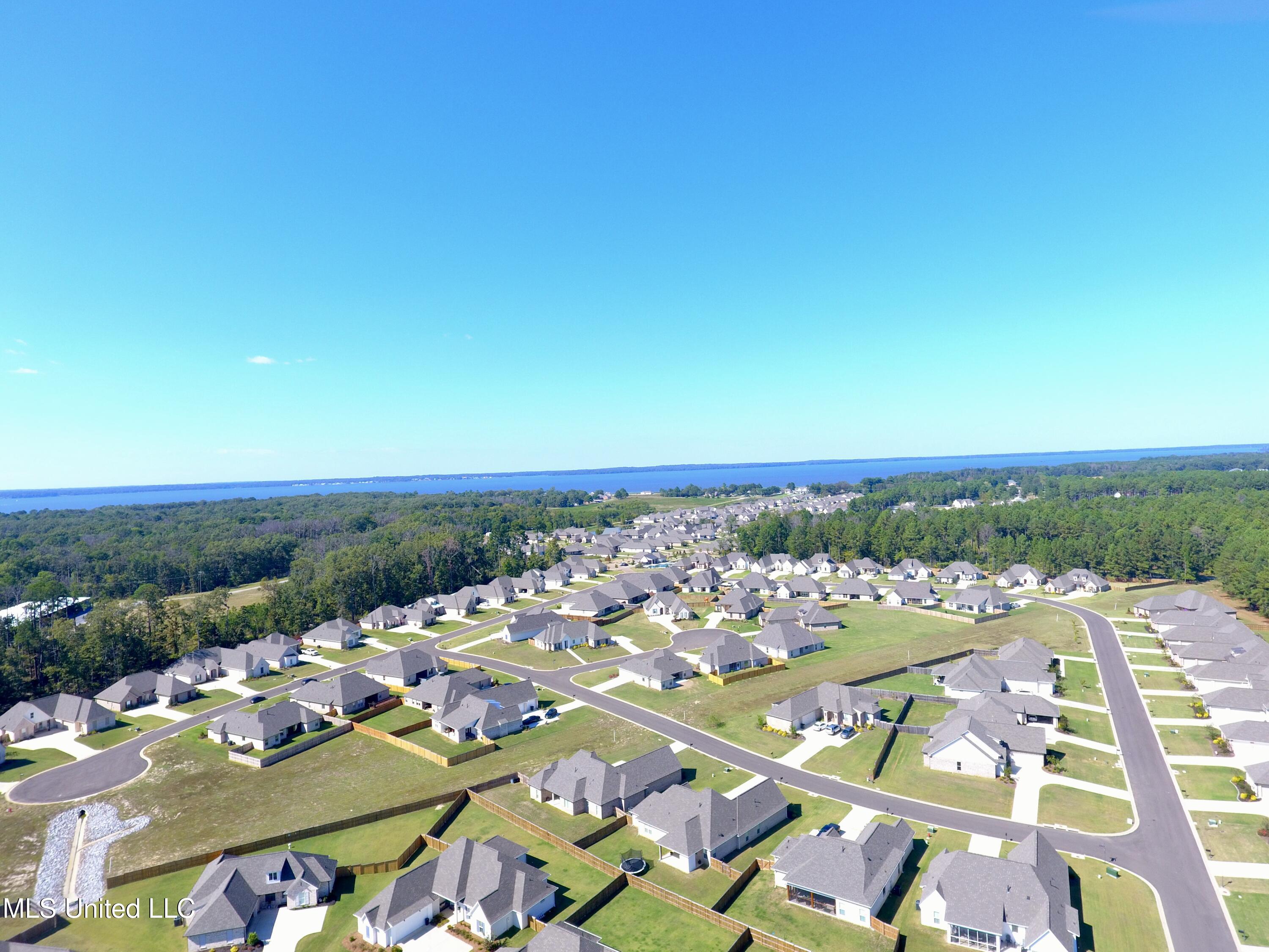 746 Bearing Way Brandon, MS 39047 - Photo 25 of 38 DJI_0156