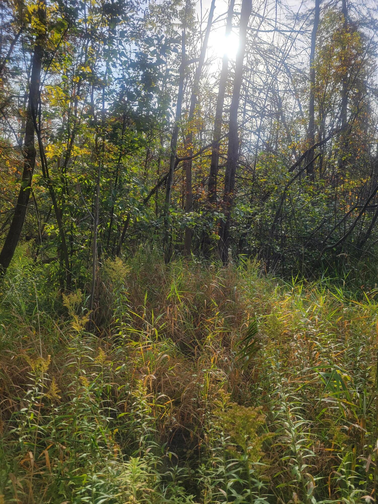 7615 Long Rapids Road Alpena, MI 49707 - Photo 12 of 27 Gallery Image 12