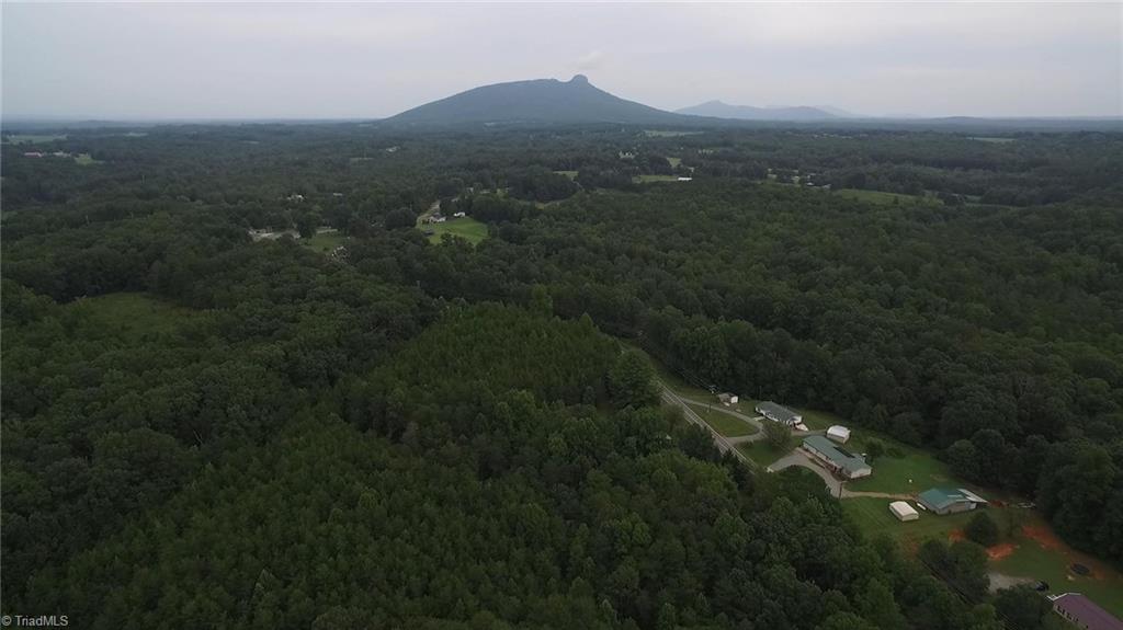 0 Quaker Church Road Pinnacle, NC 27043 - Photo 14 of 27