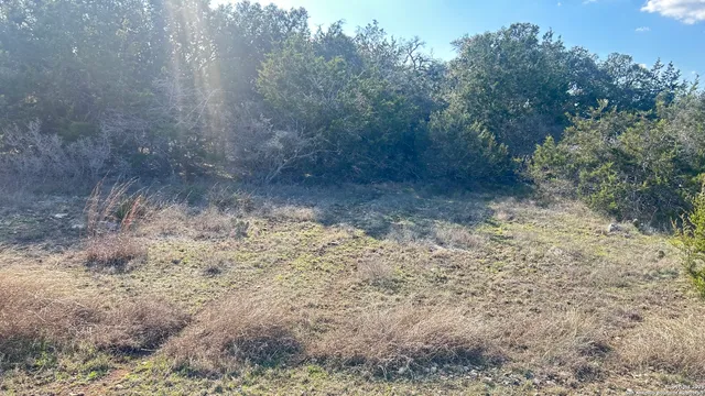 a view of a yard with wooden fence