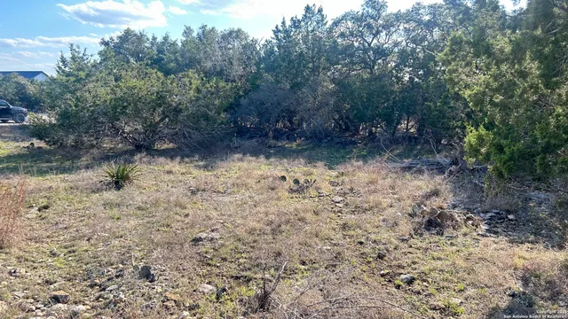 a view of a yard with trees